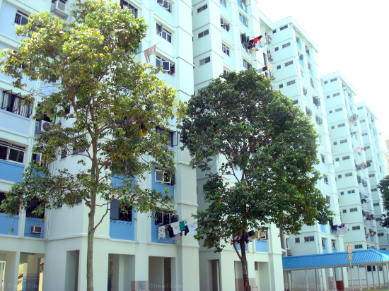 Blk 821 Woodlands Street 82 (Woodlands), HDB Executive #354312